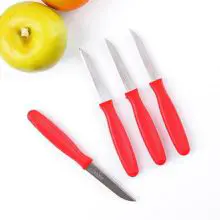 rooc cubertería cuchillo de fruta con mango de plástico