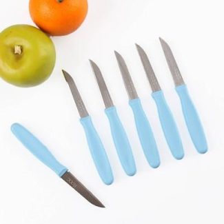 Rooc Cutlery Fruit Knife with Plastic Handle...