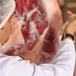 selet allevamento carne e prodotti a base di carne