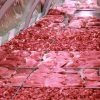 Selet farming meat and meat produc