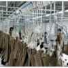 timtaş askili konfeksiyon fabrikaları için kancalı askı t134