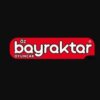 bayraktar colorful hand-push double ball wheel toy trolley for baby kids toddlers