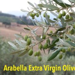 Arabella Extra Virgin Olive Oil In Dark Glass Bottles Top Quality Turkey Export 21 37 From Turkey premium wholesale extra virgin olive oil from turkey - tin cans and glass bottles