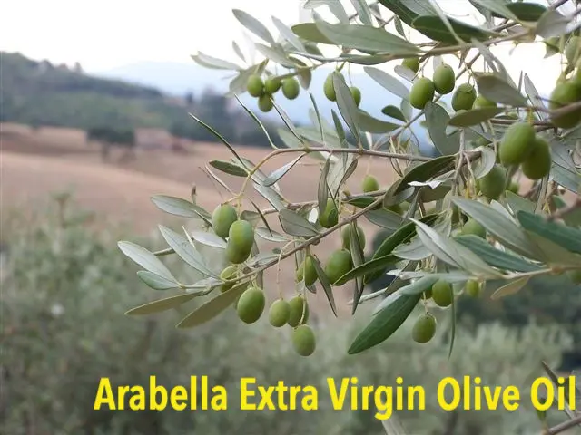 Extra virgin olive oil turkey in t