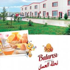 Balarisi Pine Pure Natural And Healthy Honey 850 G 19 From Turkey balarisi chestnut pure natural and healthy honey 460 g