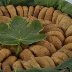 Turquagro Figy Lerida Natural Healthy Dried Figs From Turkey For Export 18 From Turkey turquagro figy lerida natural healthy dried figs from turkey for export