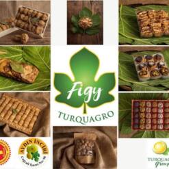Turquagro Figy Natural And Healthy Dried Figs From Turkey For Export 17 From Turkey turquagro figy natural and healthy dried figs from turkey for export