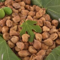 Turquagro Figy Natural And Healthy Dried Figs From Turkey For Export 11 From Turkey turquagro figy natural and healthy dried figs from turkey for export