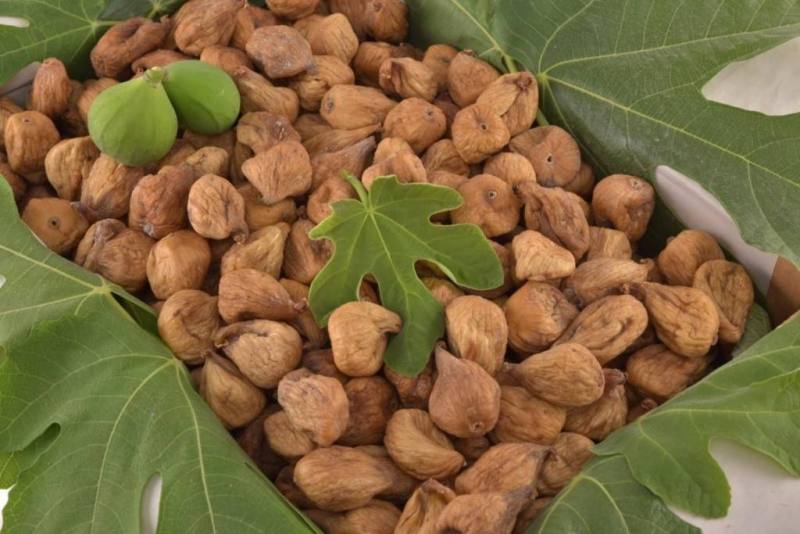 turquagro figy natural and healthy dried figs from turkey for export