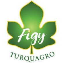turquagro figy natural and healthy dried figs from turkey for export