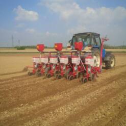 Turquagro Kisrak Series Farming Machinery Seed Planters 10 From Turkey turquagro kisrak series farming machinery seed planters