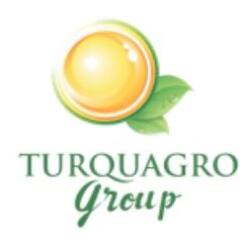 Turquagro Figy Natural And Healthy Dried Figs From Turkey For Export 13 From Turkey turquagro figy natural and healthy dried figs from turkey for export