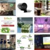 Algenbiodiesel-Bioengineering-Forschung an der Technischen Universität Yildiz 14 aus der Türkei algen biodiesel bioengineering forschung an der technischen universität yildiz