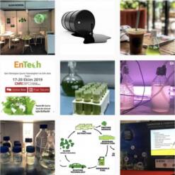 Algae Biodiesel Bioengineering Research At Yildiz Technical University 14 From Turkey algae biodiesel bioengineering research at yildiz technical university