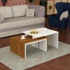 1037 middle table , coffee table