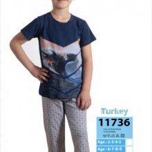 Boys Cute  Soft Cotton Pajama Set 11736 YM1