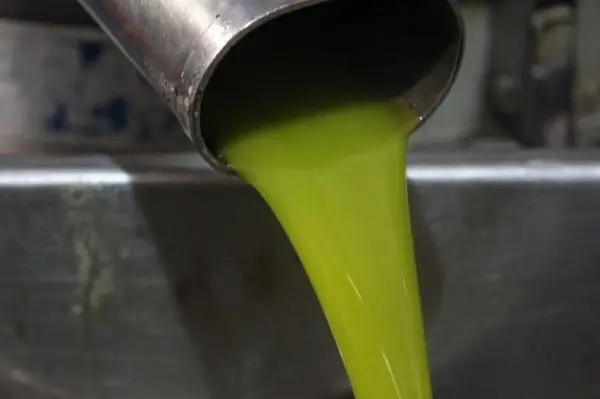 Extra virgin olive oil for export