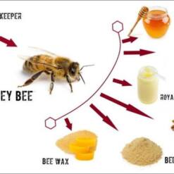 Pure Natural Organic Honey Bee Venom Apitoxin Apis Mellifera For Medical Cosmetics 1G Or 5G Or 10G 4 From Turkey pure natural organic honey bee venom apitoxin apis mellifera for medical cosmetics 1g or 5g or 10g