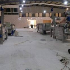 Olive Hammer Crusher Efficient Stainless Steel 3000 Kg/H 50 Hp Al-Sadoun 16 From Turkey olive oil extraction olive press al-sadoun top quality 1 to 5 ton per hour