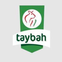taybah-customer-reference-al-hariri-group-alharirigrup-yeniexpo-exporter-16-2