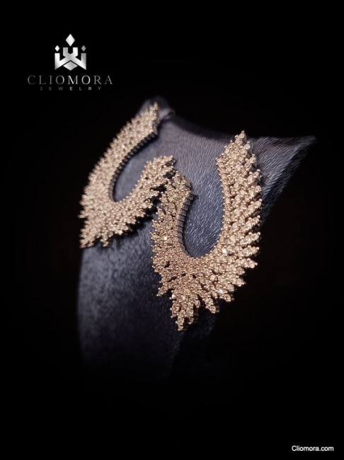 Charismatic cliomora earrings cz c