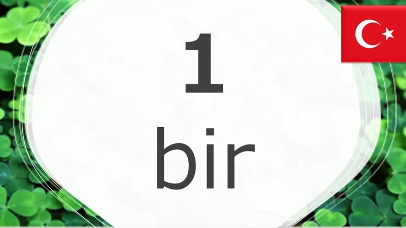 YeniExpo