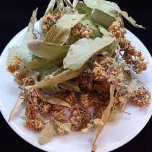 Linden Tea Herbal Nutritious Natur