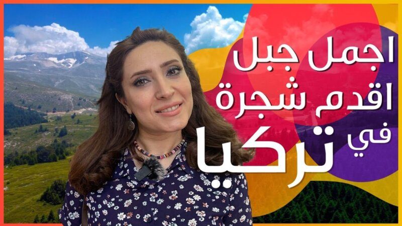 YeniExpo