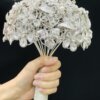 Adela Luxurious Cubic Zirconia Bridal Bouquet Holder - Zh01 3 From Turkey adela luxurious cubic zirconia bridal bouquet holder - zh01