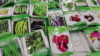 türkiye sunagri tohum Ürünleri İhracat yeniexpo