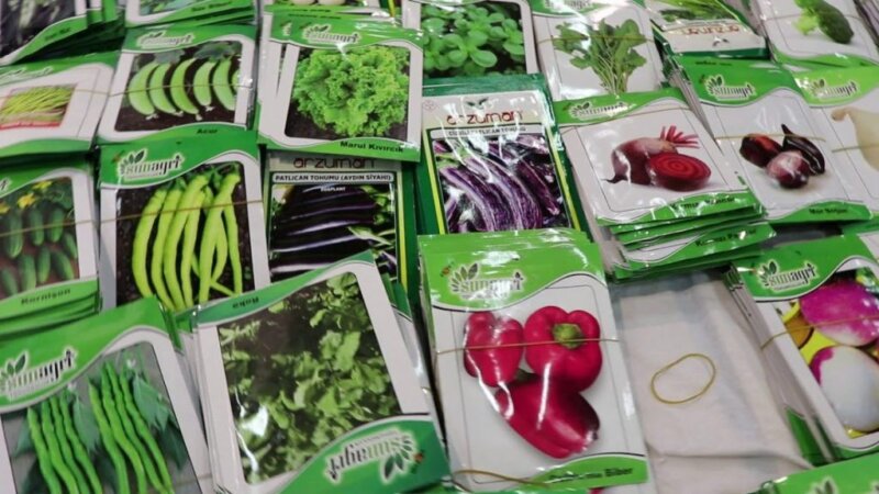 türkiye sunagri tohum Ürünleri İhracat yeniexpo