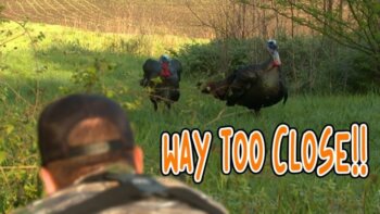 hunting turkeys with bare hands | buck commander