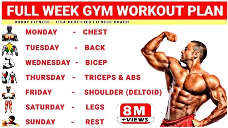 full week gym workout plan | week schedule for gym workout | buddy fitness