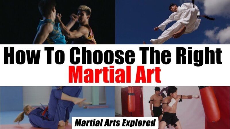 how to choose the right martial art for you
