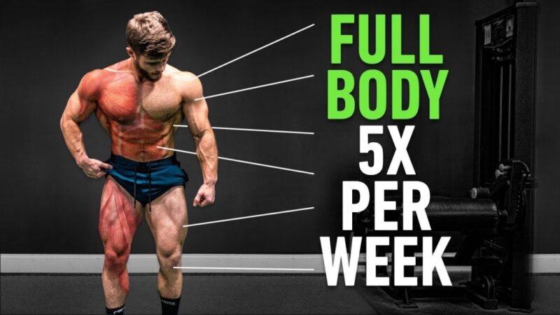 full body 5x per week: why high frequency training is so effective