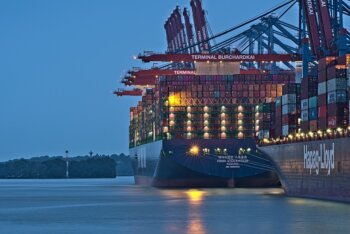 live export of australian cattle to egypt