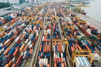 live stock export