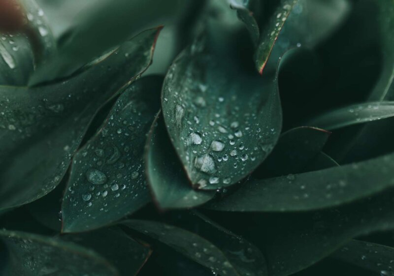 cole keister v gfeapp y unsplash