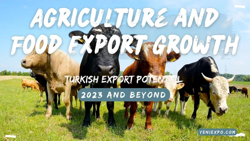 YeniExpo