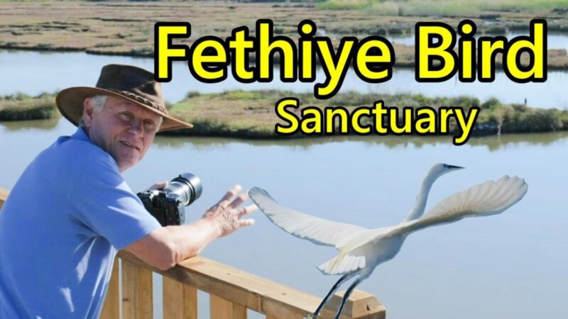 fethiye / Çalış bird sanctuary