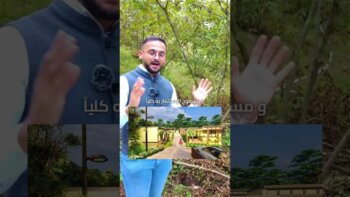 "experience the charm of turkish cottages - rent out now and earn big $$$" 🏡💰
