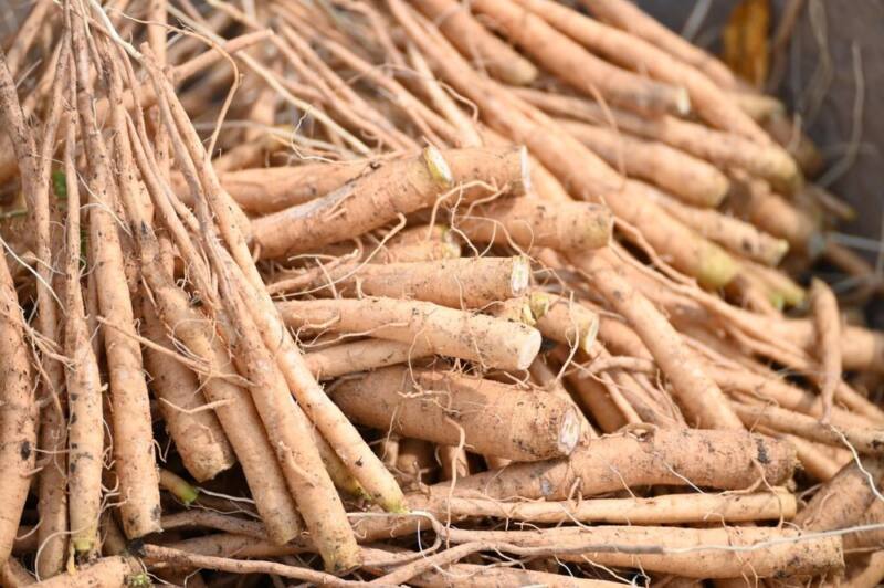 Ashwagandha Extract