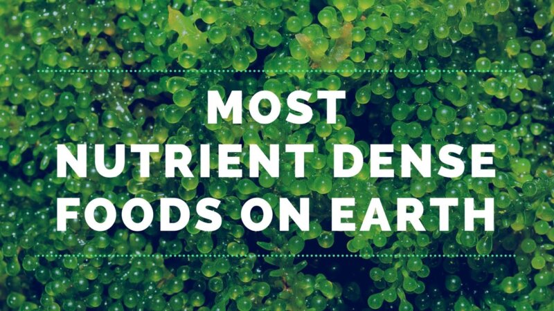 discover nature's most nutrient-packed foods!
