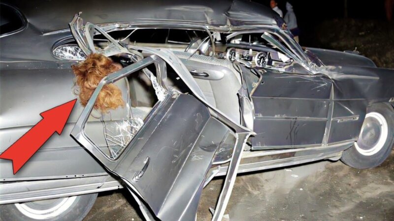 Discover Rare Vintage Car Wrecks In Stunning Color Photos. From Turkey discover rare vintage car wrecks in stunning color photos.