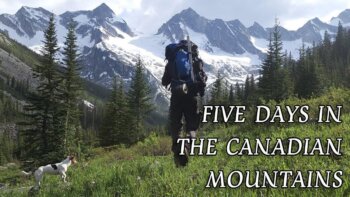 embark on an epic adventure with your furry companion!