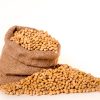 acquista semi di soia di alta qualità per la massima resa e resistenza alle malattie nel 2024