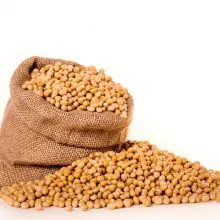 compre semillas de soja de alta calidad para obtener el máximo rendimiento y resistencia a las enfermedades en 2024