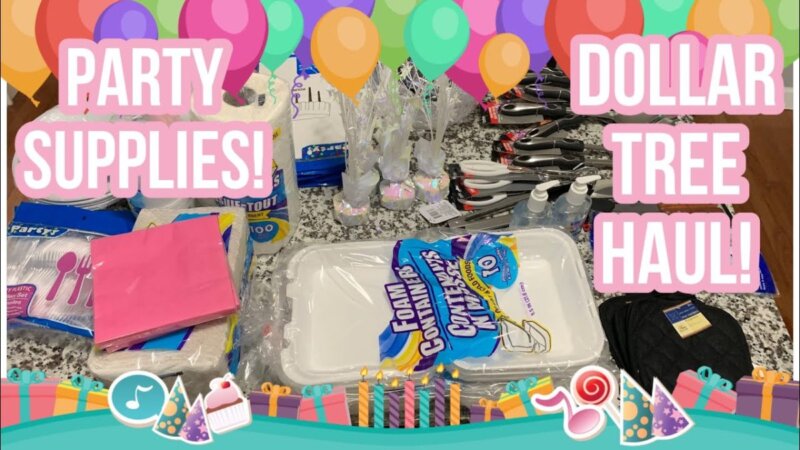 discover hidden treasures at dollar tree! what will you find? 🤔