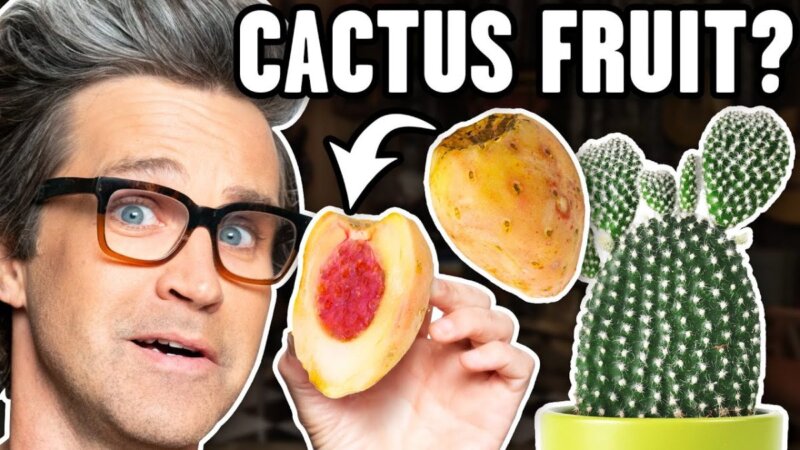 discover the surprising flavors of exotic fruits!