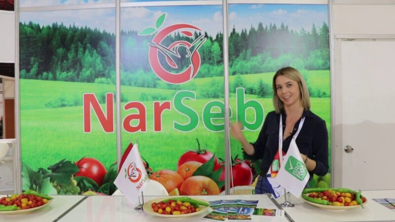discover the fresh and flavorful narseb tomatoes from antalya, turkey. yeniexpo ru offers for export!